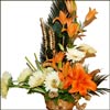 Cute Emotions - Click here to View more details about this Product